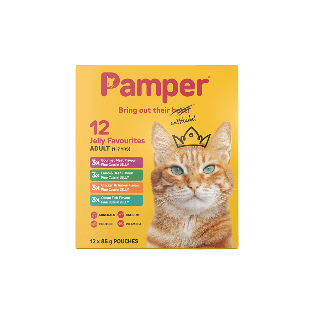 Pamper Fine Cuts Cat Multipack Jelly Favourites 85gm X 12