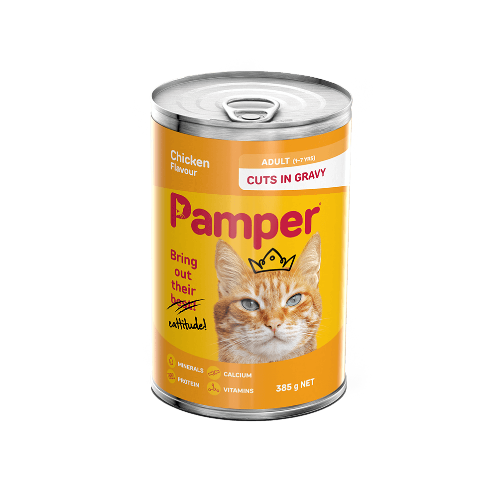 Pamper Chicken Cuts In Gravy Wet Cat Food 385gm X 12