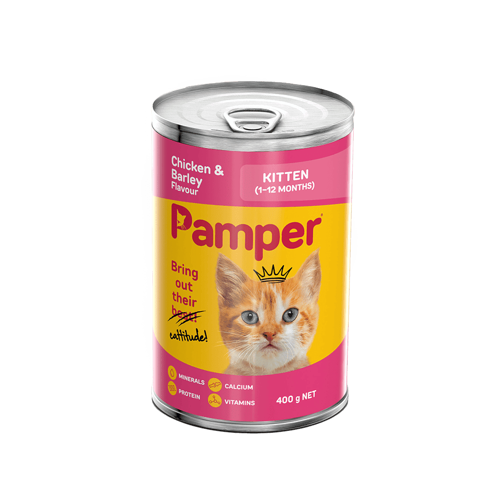 Pamper Kitten Chicken & Barley Wet Cat Food 400gm x 12