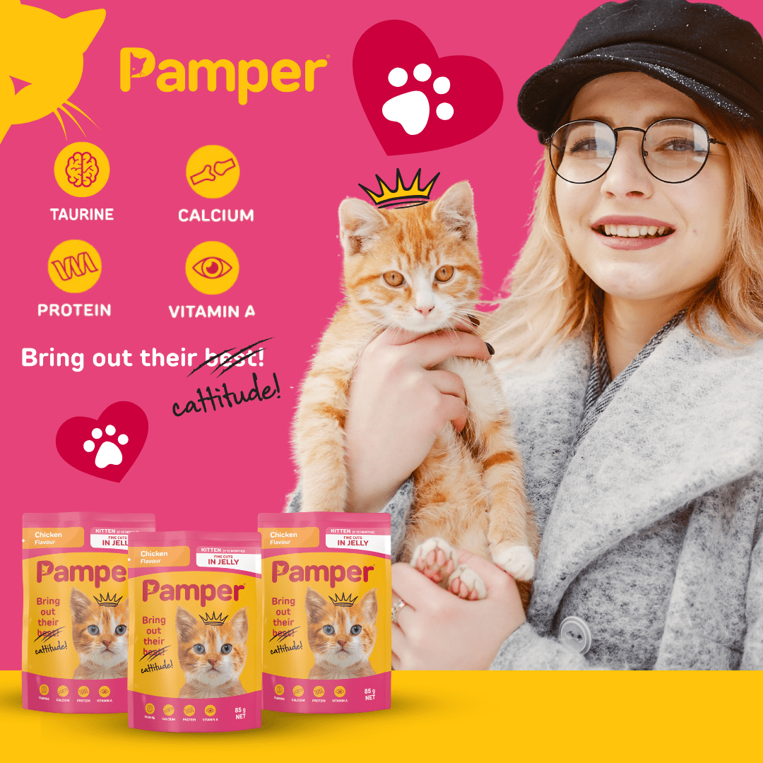 Pamper Kitten Tuna & Chicken in Jelly Wet Cat Food x 6 - Image 3