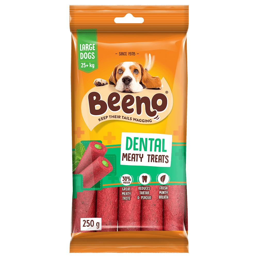 Beeno Dental Treats Large Dog 250gm