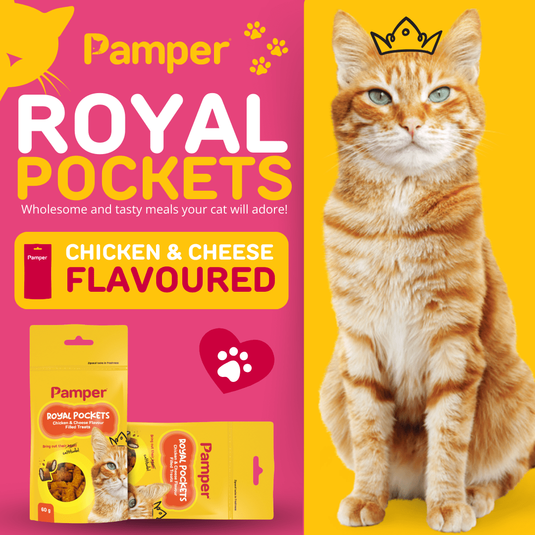 Pamper Royal Pockets Filled Cat Treats Cheese & Chicken 60g - Image 2