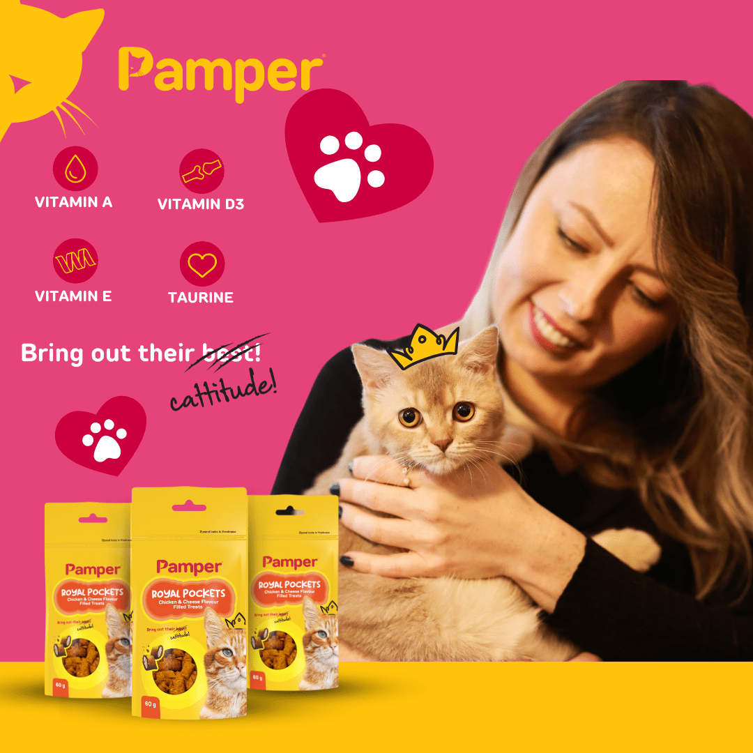 Pamper Royal Pockets Filled Cat Treats Cheese & Chicken 60g - Image 3