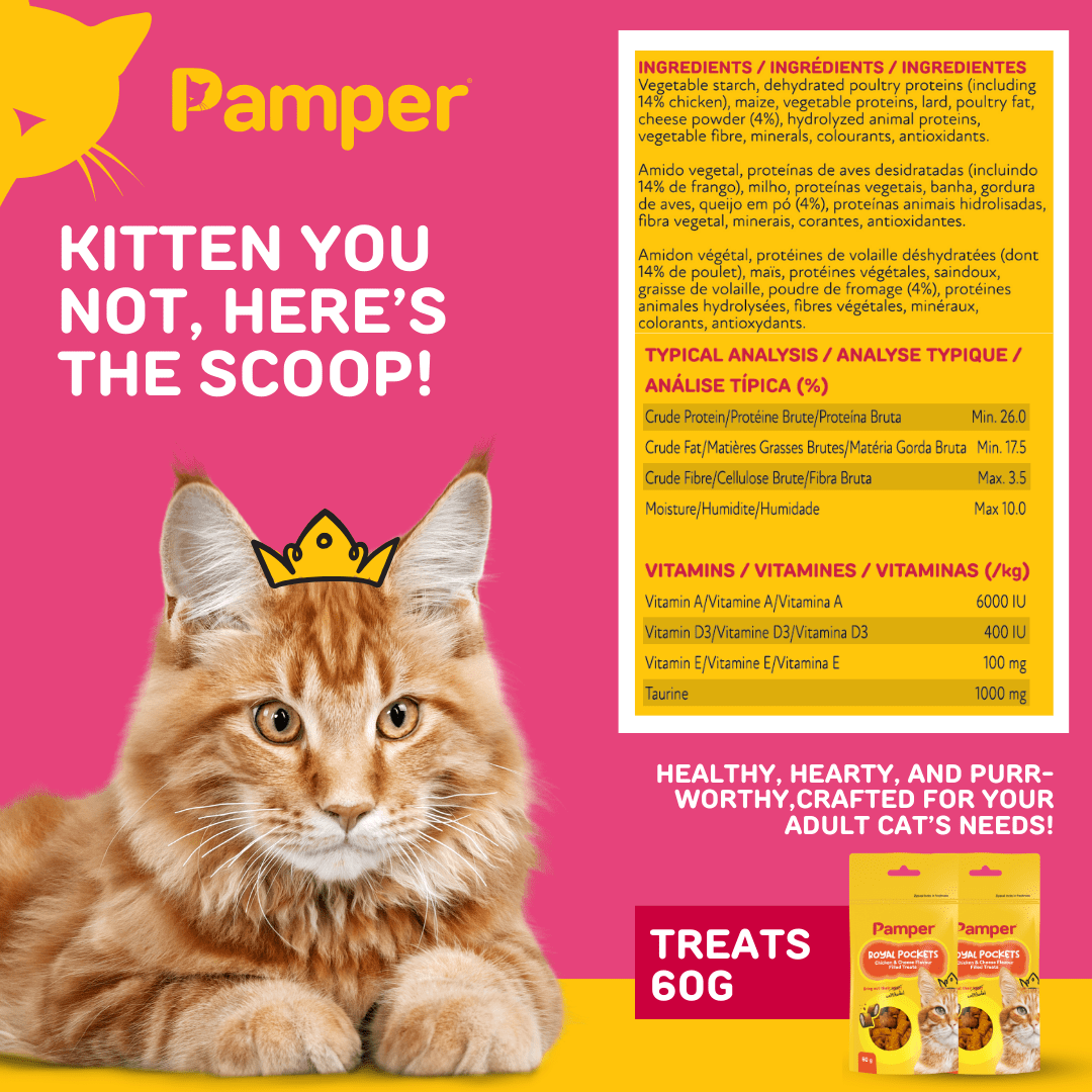 Pamper Royal Pockets Filled Cat Treats Cheese & Chicken 60g - Image 4