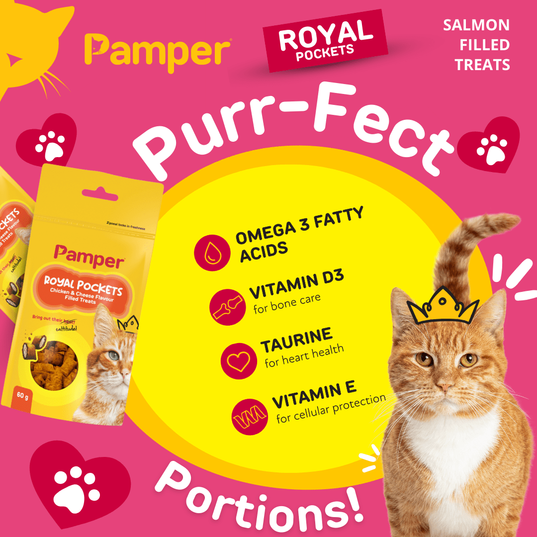 Pamper Royal Pockets Filled Cat Treats Cheese & Chicken 60g - Image 5