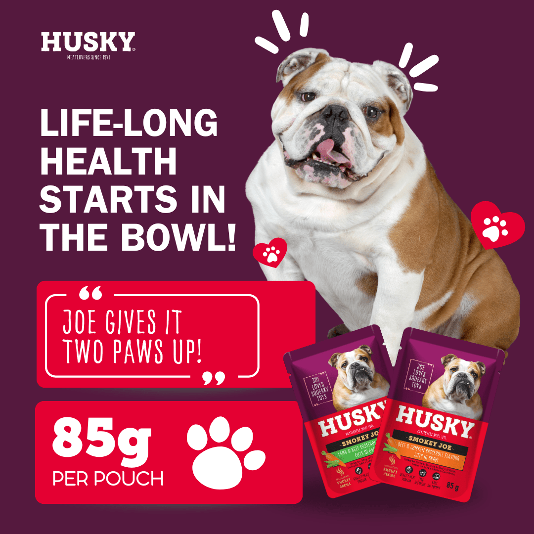 Husky Cuts in Gravy Smokey Joe Favourites MP 12X85g - Image 3