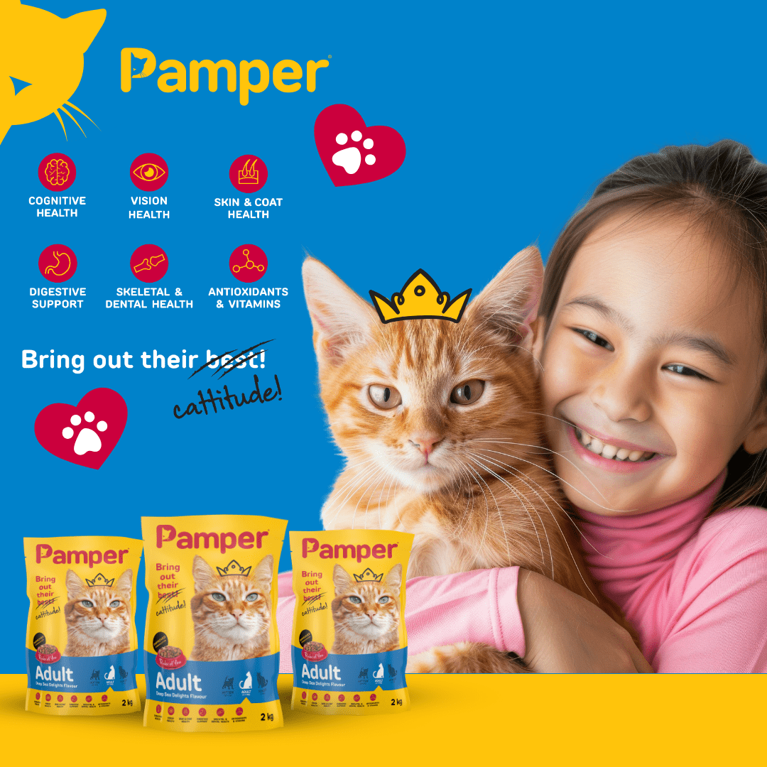 Pamper Deep Sea Delights Adult Dry Cat Food 2kg - Image 3