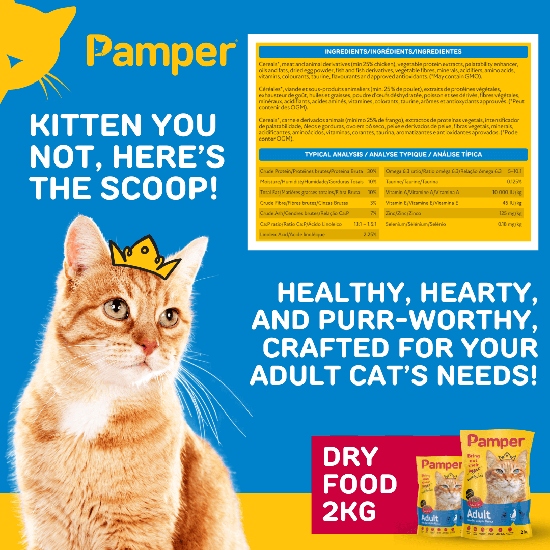Pamper Deep Sea Delights Adult Dry Cat Food 2kg - Image 4