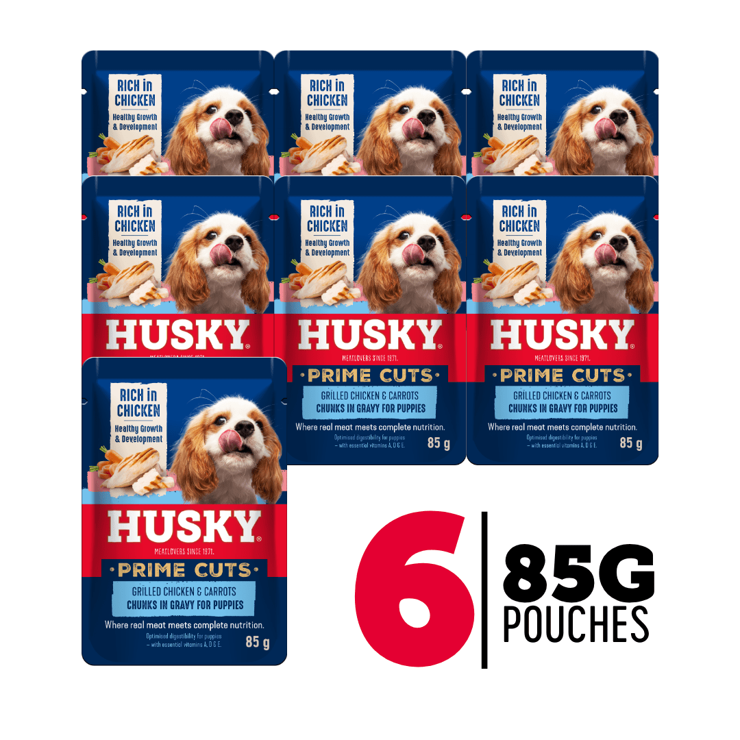 Husky Prime Cuts Puppy Roasted Chicken & Carrots (6 x 85g) Wet Dog Food Pouches - Image 2