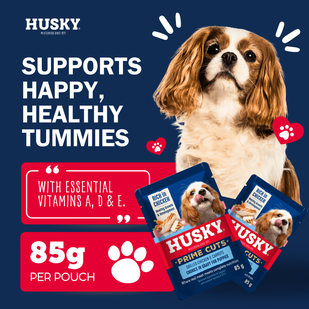 Husky Prime Cuts Puppy Roasted Chicken & Carrots (6 x 85g) Wet Dog Food Pouches - Image 4